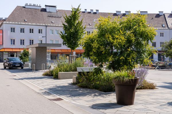 Blick auf einen gepflasterten Platz mit ein paar Bäumen
