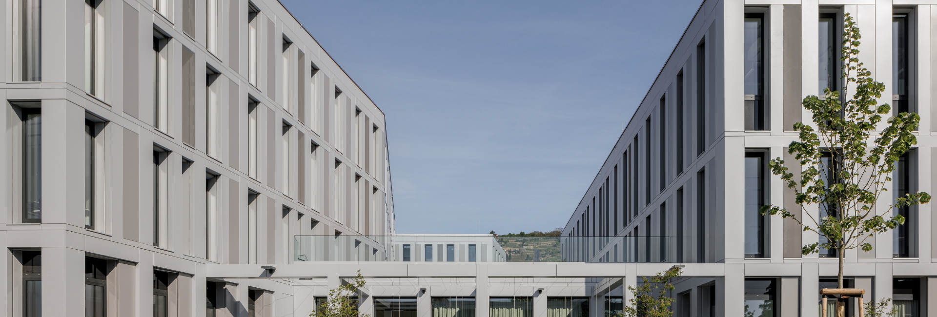Erweiterung des Campus Krems mit vier Hochschulgebäuden aus Recyclingbeton und nachhaltigem Energiekonzept