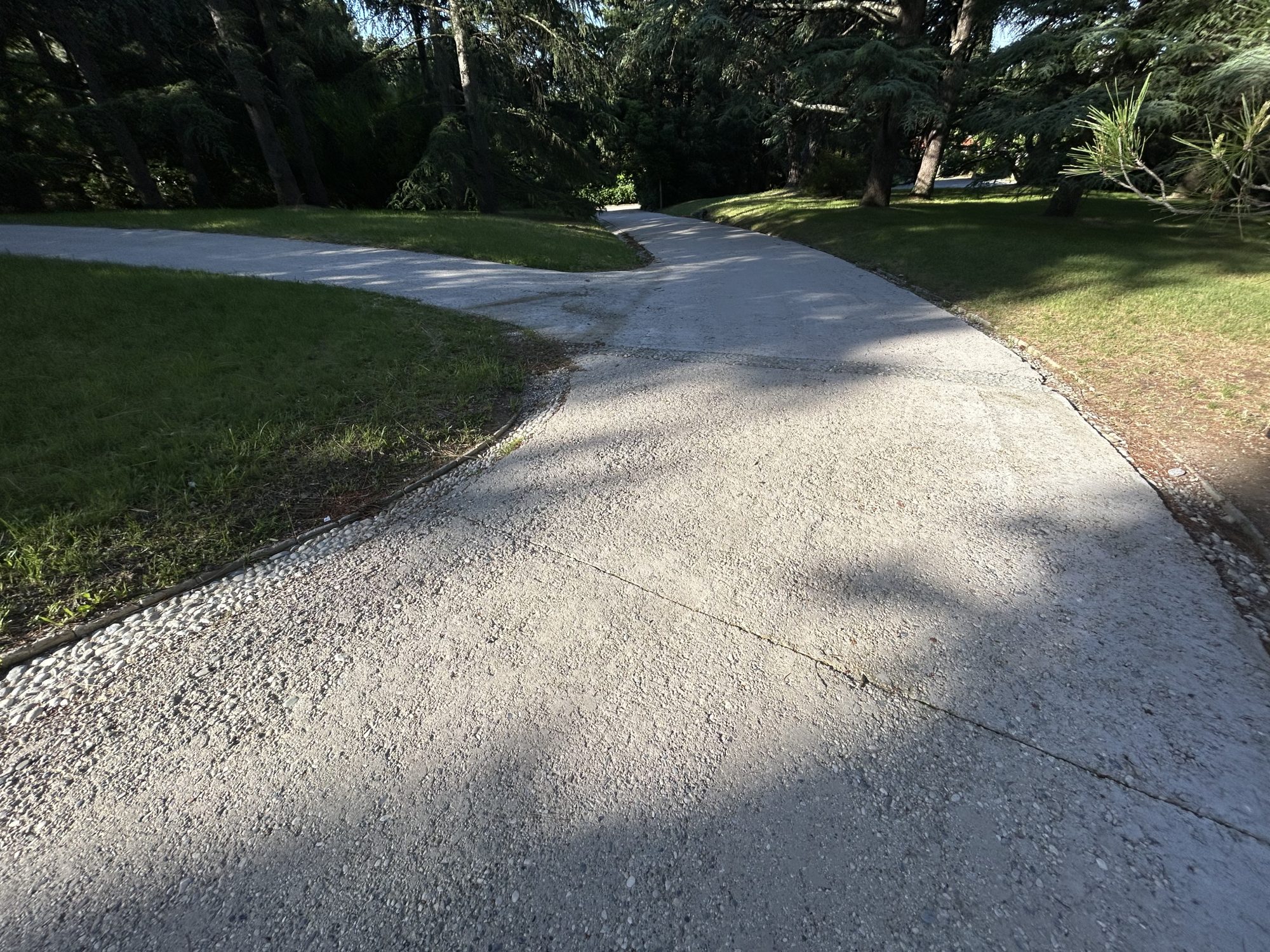 Ein Betonweg der durch einen Park führt